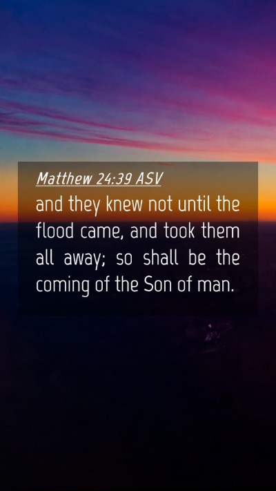 Picture 04 - Matthew 24:39 ASV Mobile Phone Wallpaper - and they knew not until the flood came, and took - Mobile Bible Verse Wallpaper