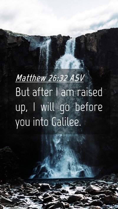 Picture 04 - Matthew 26:32 ASV Mobile Phone Wallpaper - But after I am raised up, I will go before you - Mobile Bible Verse Wallpaper
