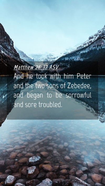 Picture 04 - Matthew 26:37 ASV Mobile Phone Wallpaper - And he took with him Peter and the two sons of - Mobile Bible Verse Wallpaper