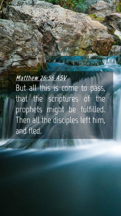 Picture 04 - Matthew 26:56 ASV Mobile Phone Wallpaper - But all this is come to pass, that the scriptures - Mobile Bible Verse Wallpaper