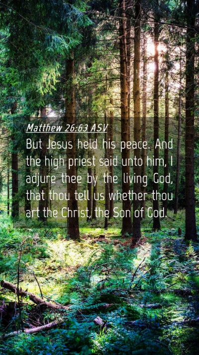 Picture 04 - Matthew 26:63 ASV Mobile Phone Wallpaper - But Jesus held his peace. And the high priest - Mobile Bible Verse Wallpaper