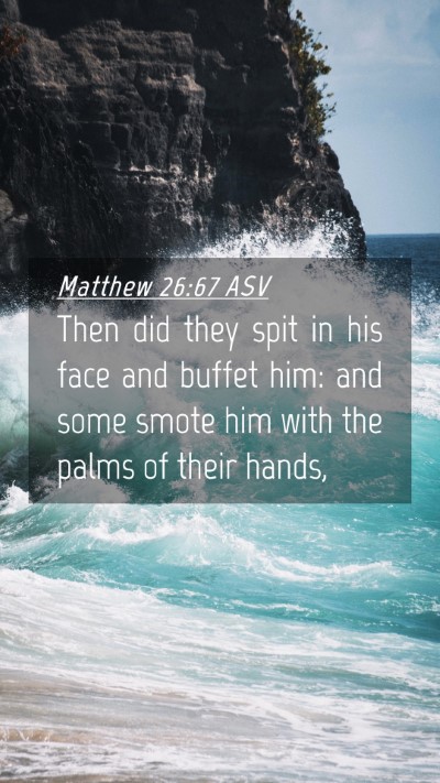 Picture 04 - Matthew 26:67 ASV Mobile Phone Wallpaper - Then did they spit in his face and buffet him: - Mobile Bible Verse Wallpaper