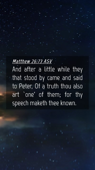 Picture 04 - Matthew 26:73 ASV Mobile Phone Wallpaper - And after a little while they that stood by came - Mobile Bible Verse Wallpaper