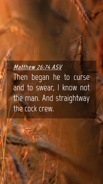 Picture 04 - Matthew 26:74 ASV Mobile Phone Wallpaper - Then began he to curse and to swear, I know not - Mobile Bible Verse Wallpaper