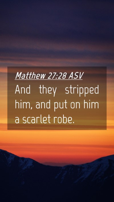 Picture 04 - Matthew 27:28 ASV Mobile Phone Wallpaper - And they stripped him, and put on him a scarlet - Mobile Bible Verse Wallpaper