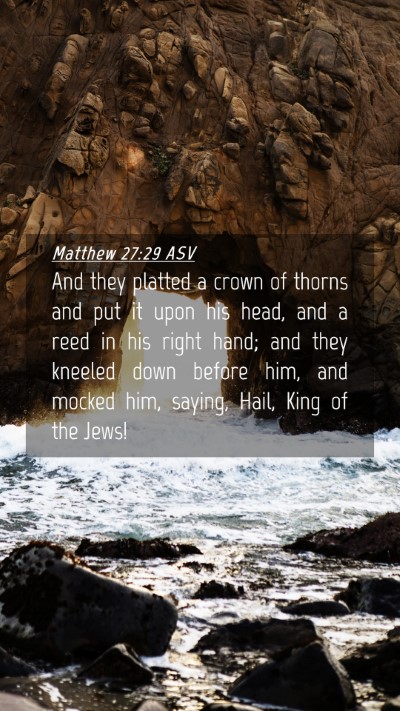 Picture 04 - Matthew 27:29 ASV Mobile Phone Wallpaper - And they platted a crown of thorns and put it - Mobile Bible Verse Wallpaper