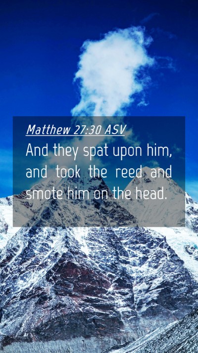 Picture 04 - Matthew 27:30 ASV Mobile Phone Wallpaper - And they spat upon him, and took the reed and - Mobile Bible Verse Wallpaper