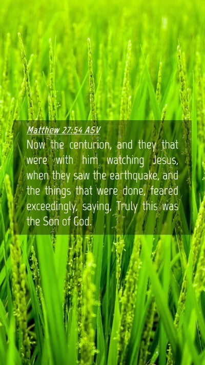 Picture 04 - Matthew 27:54 ASV Mobile Phone Wallpaper - Now the centurion, and they that were with him - Mobile Bible Verse Wallpaper