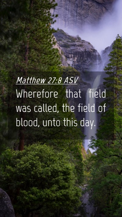 Picture 04 - Matthew 27:8 ASV Mobile Phone Wallpaper - Wherefore that field was called, the field of - Mobile Bible Verse Wallpaper