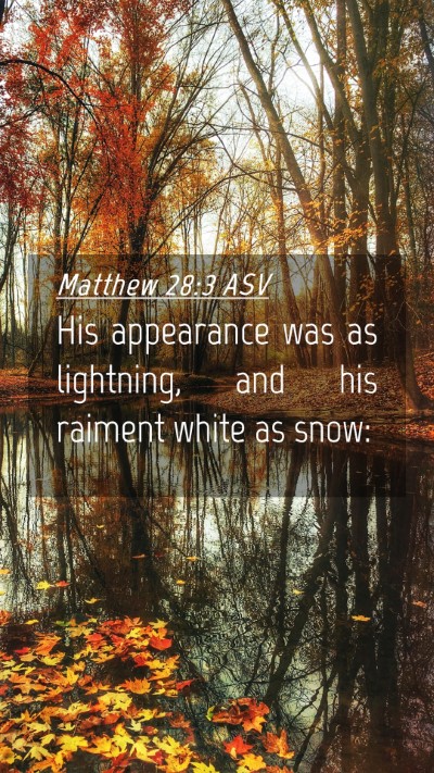 Picture 04 - Matthew 28:3 ASV Mobile Phone Wallpaper - His appearance was as lightning, and his raiment - Mobile Bible Verse Wallpaper