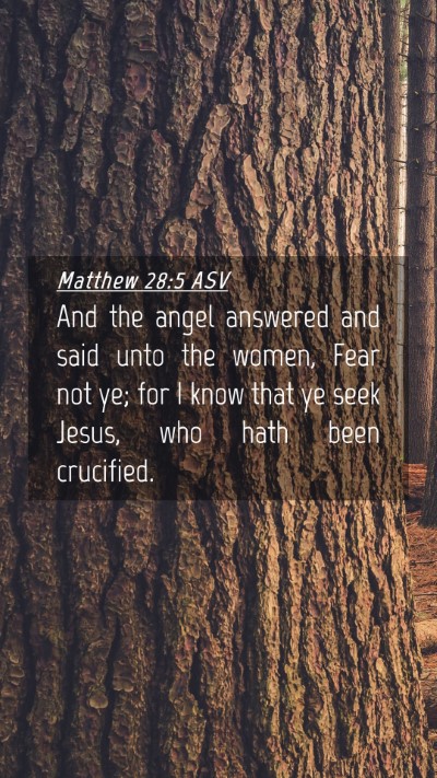 Picture 04 - Matthew 28:5 ASV Mobile Phone Wallpaper - And the angel answered and said unto the women, - Mobile Bible Verse Wallpaper