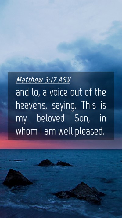Picture 04 - Matthew 3:17 ASV Mobile Phone Wallpaper - and lo, a voice out of the heavens, saying, This - Mobile Bible Verse Wallpaper