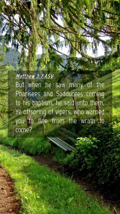 Picture 04 - Matthew 3:7 ASV Mobile Phone Wallpaper - But when he saw many of the Pharisees and - Mobile Bible Verse Wallpaper