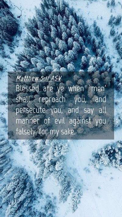 Picture 04 - Matthew 5:11 ASV Mobile Phone Wallpaper - Blessed are ye when `men' shall reproach you, and - Mobile Bible Verse Wallpaper
