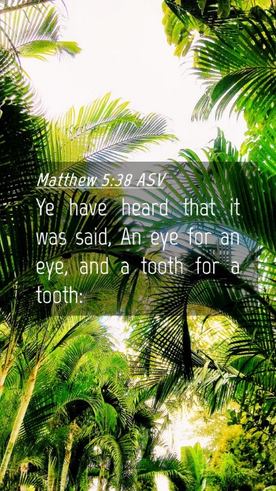 Picture 04 - Matthew 5:38 ASV Mobile Phone Wallpaper - Ye have heard that it was said, An eye for an - Mobile Bible Verse Wallpaper
