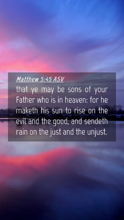 Picture 04 - Matthew 5:45 ASV Mobile Phone Wallpaper - that ye may be sons of your Father who is in - Mobile Bible Verse Wallpaper