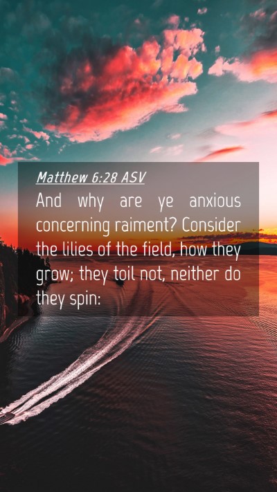 Picture 04 - Matthew 6:28 ASV Mobile Phone Wallpaper - And why are ye anxious concerning raiment? - Mobile Bible Verse Wallpaper