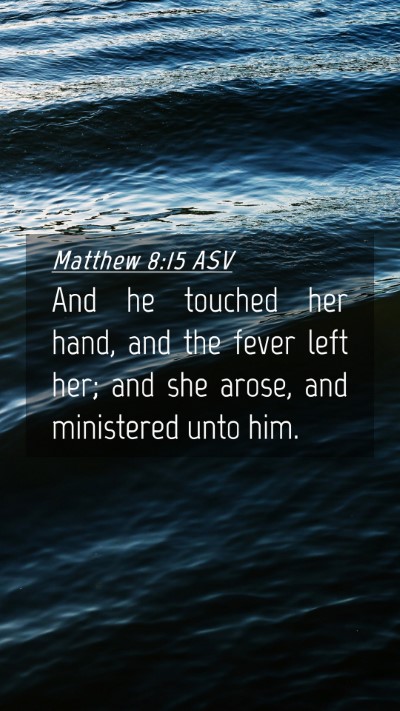 Picture 04 - Matthew 8:15 ASV Mobile Phone Wallpaper - And he touched her hand, and the fever left her; - Mobile Bible Verse Wallpaper