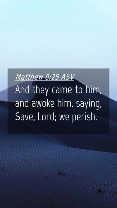 Picture 04 - Matthew 8:25 ASV Mobile Phone Wallpaper - And they came to him, and awoke him, saying, - Mobile Bible Verse Wallpaper