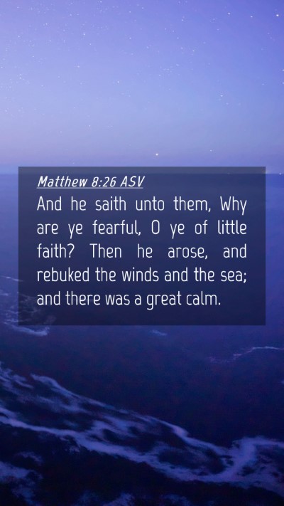 Picture 04 - Matthew 8:26 ASV Mobile Phone Wallpaper - And he saith unto them, Why are ye fearful, O ye - Mobile Bible Verse Wallpaper