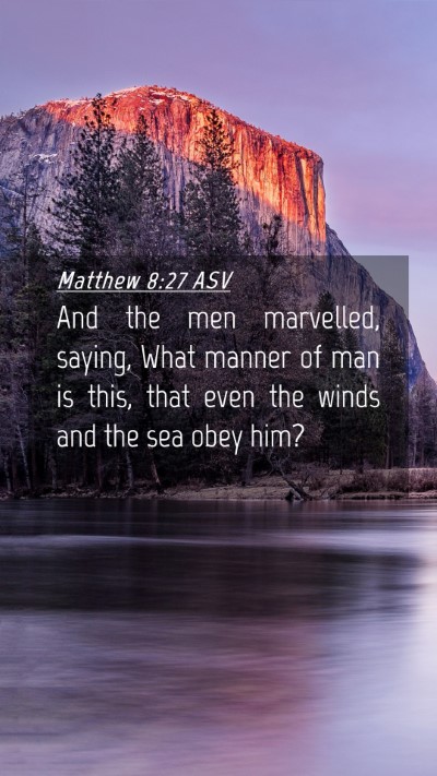 Picture 04 - Matthew 8:27 ASV Mobile Phone Wallpaper - And the men marvelled, saying, What manner of man - Mobile Bible Verse Wallpaper