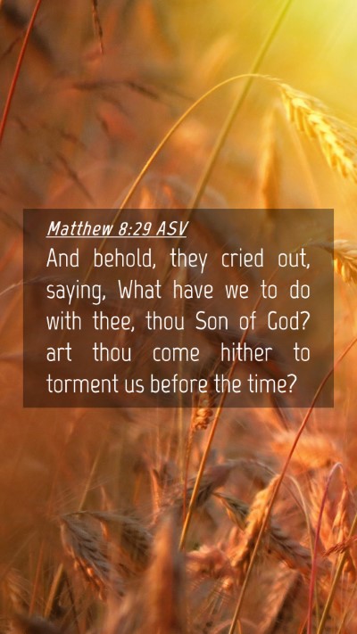 Picture 04 - Matthew 8:29 ASV Mobile Phone Wallpaper - And behold, they cried out, saying, What have we - Mobile Bible Verse Wallpaper