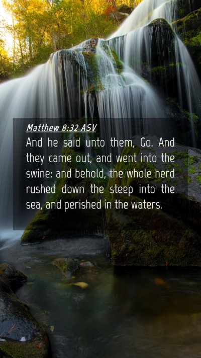 Picture 04 - Matthew 8:32 ASV Mobile Phone Wallpaper - And he said unto them, Go. And they came out, and - Mobile Bible Verse Wallpaper