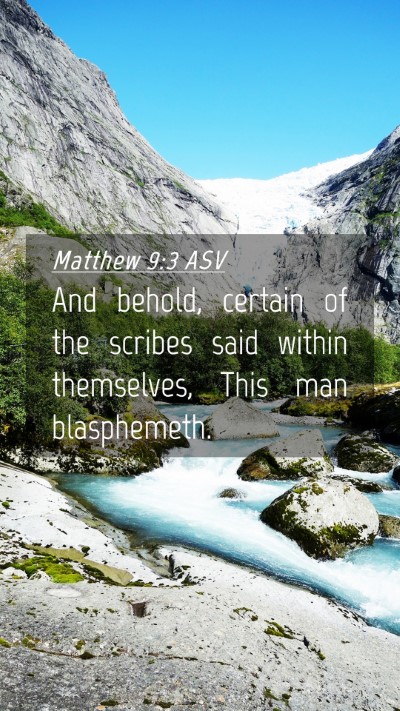 Picture 04 - Matthew 9:3 ASV Mobile Phone Wallpaper - And behold, certain of the scribes said within - Mobile Bible Verse Wallpaper