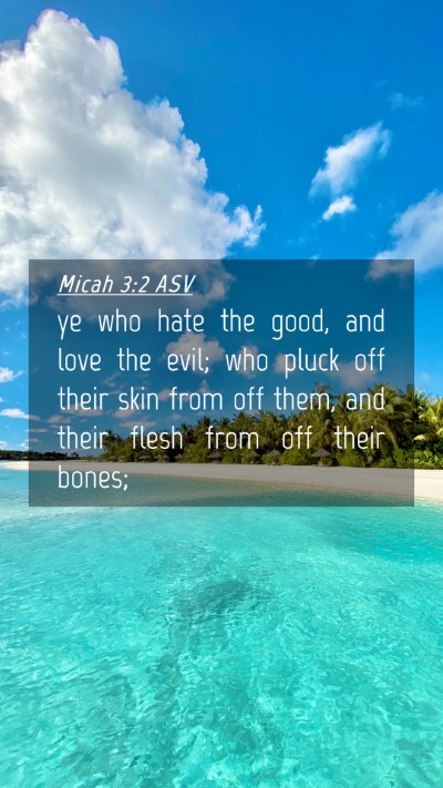 Picture 04 - Micah 3:2 ASV Mobile Phone Wallpaper - ye who hate the good, and love the evil; who - Mobile Bible Verse Wallpaper
