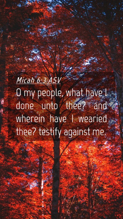 Picture 04 - Micah 6:3 ASV Mobile Phone Wallpaper - O my people, what have I done unto thee? and - Mobile Bible Verse Wallpaper