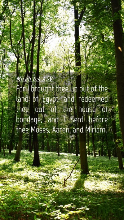 Picture 04 - Micah 6:4 ASV Mobile Phone Wallpaper - For I brought thee up out of the land of Egypt, - Mobile Bible Verse Wallpaper