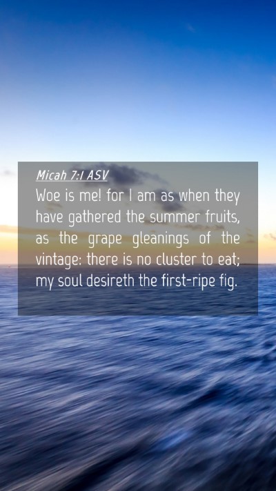 Picture 04 - Micah 7:1 ASV Mobile Phone Wallpaper - Woe is me! for I am as when they have gathered - Mobile Bible Verse Wallpaper