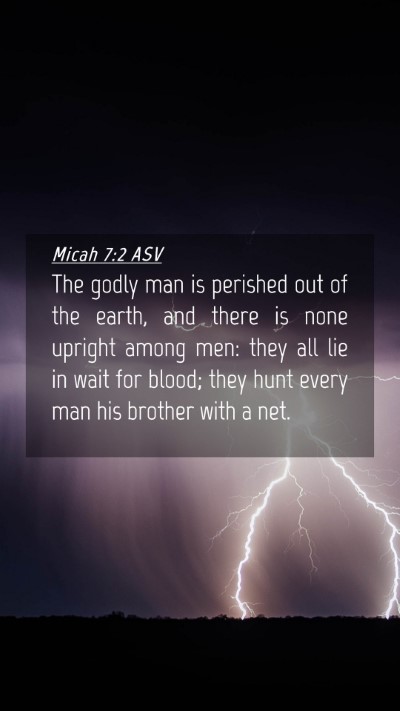 Picture 04 - Micah 7:2 ASV Mobile Phone Wallpaper - The godly man is perished out of the earth, and - Mobile Bible Verse Wallpaper