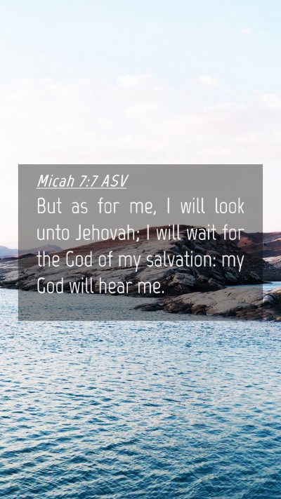 Picture 04 - Micah 7:7 ASV Mobile Phone Wallpaper - But as for me, I will look unto Jehovah; I will - Mobile Bible Verse Wallpaper