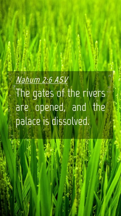 Picture 04 - Nahum 2:6 ASV Mobile Phone Wallpaper - The gates of the rivers are opened, and the - Mobile Bible Verse Wallpaper