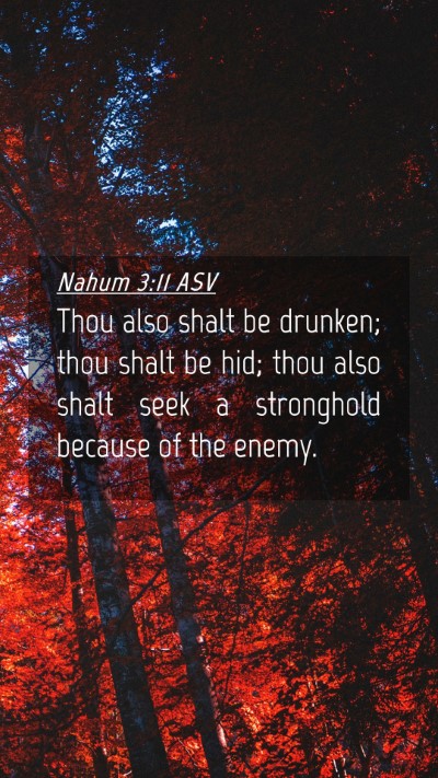 Picture 04 - Nahum 3:11 ASV Mobile Phone Wallpaper - Thou also shalt be drunken; thou shalt be hid; - Mobile Bible Verse Wallpaper