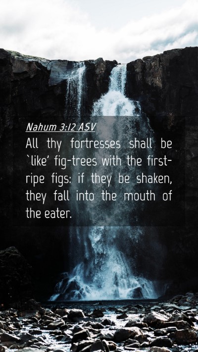 Picture 04 - Nahum 3:12 ASV Mobile Phone Wallpaper - All thy fortresses shall be `like' fig-trees with - Mobile Bible Verse Wallpaper