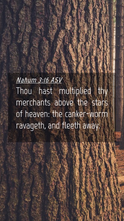 Picture 04 - Nahum 3:16 ASV Mobile Phone Wallpaper - Thou hast multiplied thy merchants above the - Mobile Bible Verse Wallpaper