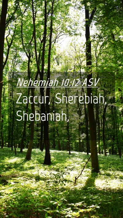 Picture 04 - Nehemiah 10:12 ASV Mobile Phone Wallpaper - Zaccur, Sherebiah, - Mobile Bible Verse Wallpaper