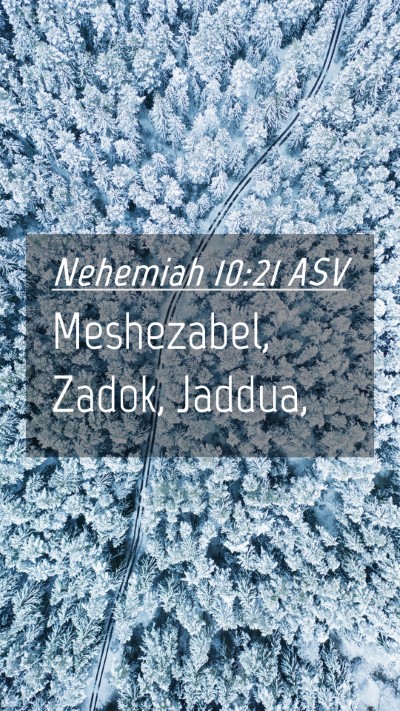 Picture 04 - Nehemiah 10:21 ASV Mobile Phone Wallpaper - Meshezabel, Zadok, - Mobile Bible Verse Wallpaper