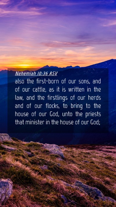 Picture 04 - Nehemiah 10:36 ASV Mobile Phone Wallpaper - also the first-born of our sons, and of our - Mobile Bible Verse Wallpaper