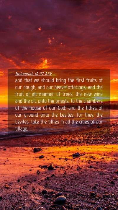 Picture 04 - Nehemiah 10:37 ASV Mobile Phone Wallpaper - and that we should bring the first-fruits of our - Mobile Bible Verse Wallpaper