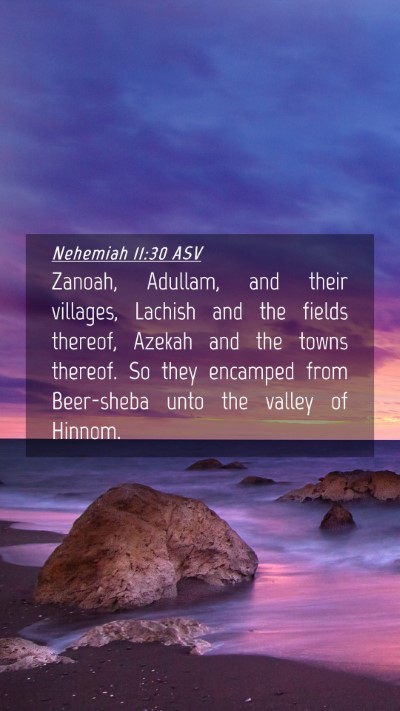 Picture 04 - Nehemiah 11:30 ASV Mobile Phone Wallpaper - Zanoah, Adullam, and their villages, Lachish and - Mobile Bible Verse Wallpaper