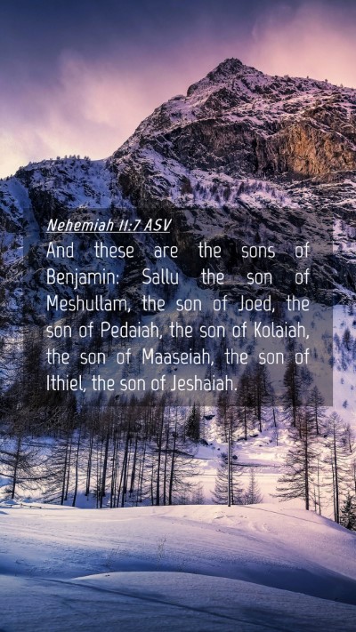 Picture 04 - Nehemiah 11:7 ASV Mobile Phone Wallpaper - And these are the sons of Benjamin: Sallu the son - Mobile Bible Verse Wallpaper