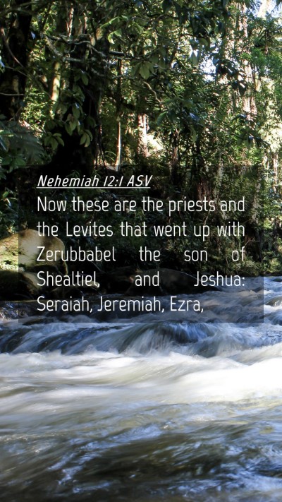 Picture 04 - Nehemiah 12:1 ASV Mobile Phone Wallpaper - Now these are the priests and the Levites that - Mobile Bible Verse Wallpaper