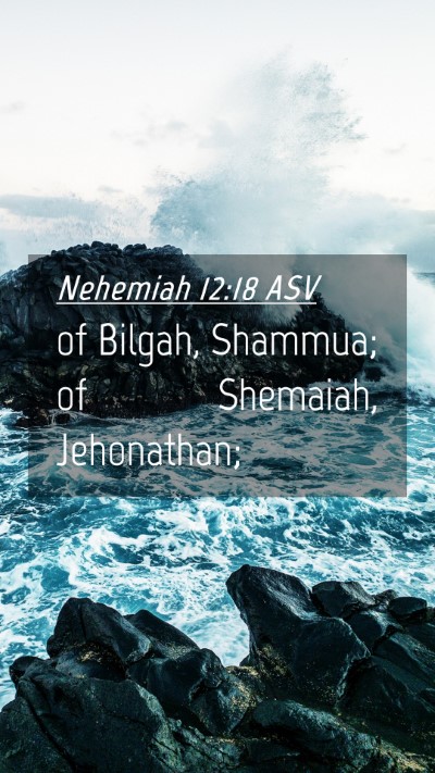 Picture 04 - Nehemiah 12:18 ASV Mobile Phone Wallpaper - of Bilgah, Shammua; of Shemaiah, - Mobile Bible Verse Wallpaper