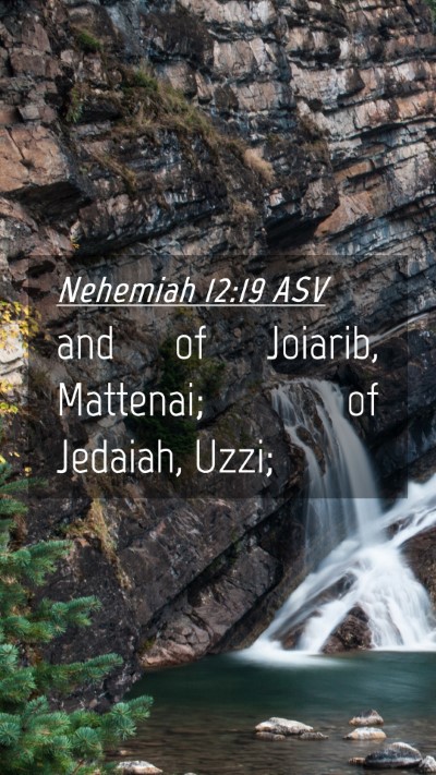 Picture 04 - Nehemiah 12:19 ASV Mobile Phone Wallpaper - and of Joiarib, Mattenai; of Jedaiah, - Mobile Bible Verse Wallpaper