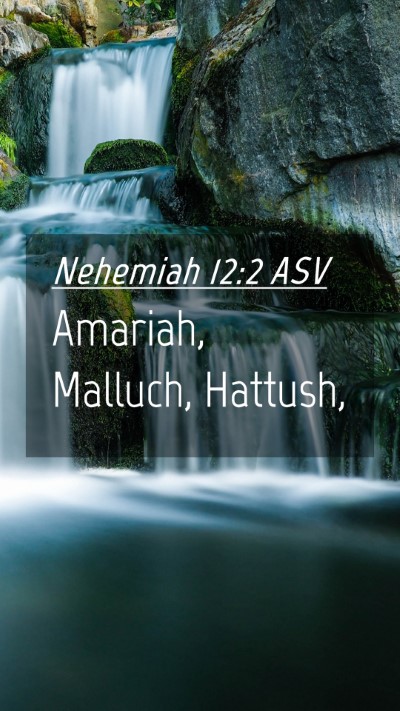 Picture 04 - Nehemiah 12:2 ASV Mobile Phone Wallpaper - Amariah, Malluch, - Mobile Bible Verse Wallpaper