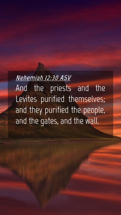 Picture 04 - Nehemiah 12:30 ASV Mobile Phone Wallpaper - And the priests and the Levites purified - Mobile Bible Verse Wallpaper