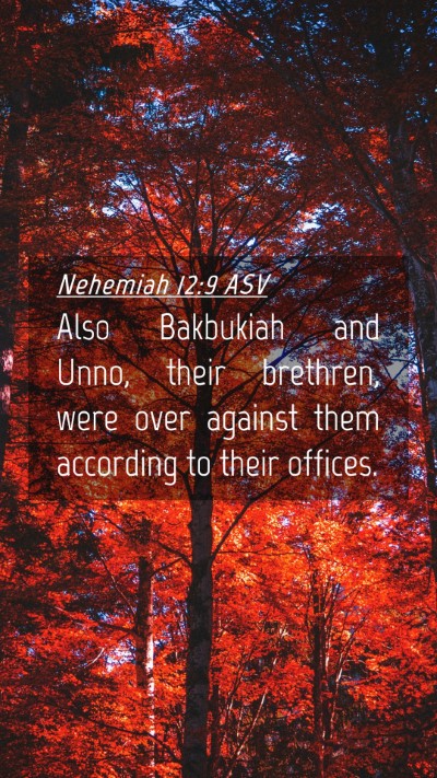 Picture 04 - Nehemiah 12:9 ASV Mobile Phone Wallpaper - Also Bakbukiah and Unno, their brethren, were - Mobile Bible Verse Wallpaper